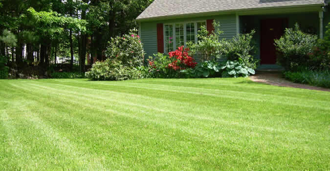 Dayton lawn mowing online